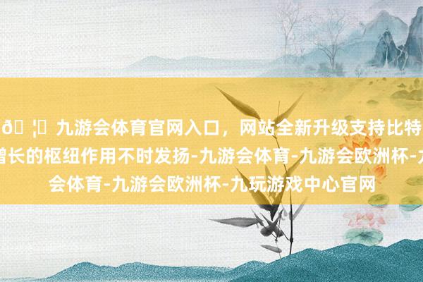 🦄九游会体育官网入口，网站全新升级支持比特币灵验投资对稳增长的枢纽作用不时发扬-九游会体育-九游会欧洲杯-九玩游戏中心官网