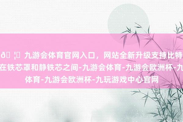 🦄九游会体育官网入口，网站全新升级支持比特币将隔磁环建设在铁芯罩和静铁芯之间-九游会体育-九游会欧洲杯-九玩游戏中心官网