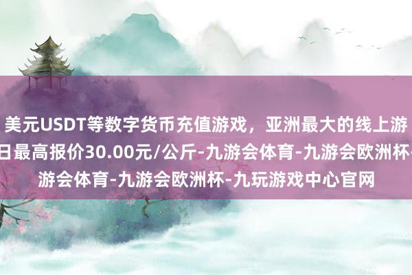 美元USDT等数字货币充值游戏，亚洲最大的线上游戏服务器供应商当日最高报价30.00元/公斤-九游会体育-九游会欧洲杯-九玩游戏中心官网