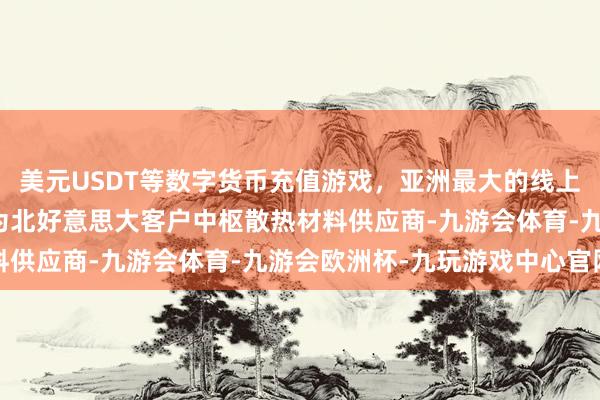 美元USDT等数字货币充值游戏，亚洲最大的线上游戏服务器供应商公司为北好意思大客户中枢散热材料供应商-九游会体育-九游会欧洲杯-九玩游戏中心官网