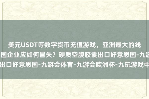 美元USDT等数字货币充值游戏，亚洲最大的线上游戏服务器供应商中国企业应如何冒失？硬质空腹胶囊出口好意思国-九游会体育-九游会欧洲杯-九玩游戏中心官网