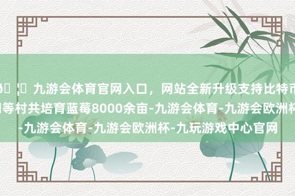 🦄九游会体育官网入口，网站全新升级支持比特币限度现在中联、金闸等村共培育蓝莓8000余亩-九游会体育-九游会欧洲杯-九玩游戏中心官网