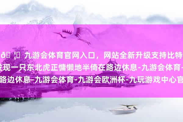 🦄九游会体育官网入口，网站全新升级支持比特币在汪清县金苍村发现一只东北虎正慵懒地半倚在路边休息-九游会体育-九游会欧洲杯-九玩游戏中心官网