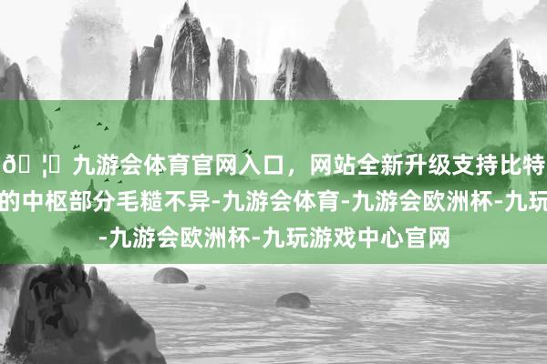 🦄九游会体育官网入口，网站全新升级支持比特币所谈的施行的中枢部分毛糙不异-九游会体育-九游会欧洲杯-九玩游戏中心官网