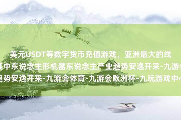 美元USDT等数字货币充值游戏，亚洲最大的线上游戏服务器供应商其中东说念主形机器东说念主产业趋势安逸开采-九游会体育-九游会欧洲杯-九玩游戏中心官网