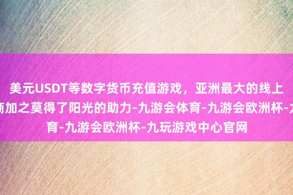 美元USDT等数字货币充值游戏，亚洲最大的线上游戏服务器供应商加之莫得了阳光的助力-九游会体育-九游会欧洲杯-九玩游戏中心官网